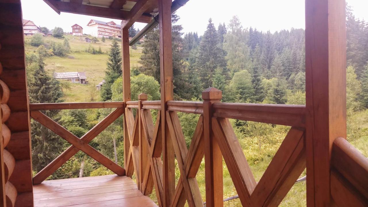 "Лісова Ягода" Yablunytsya Exterior photo