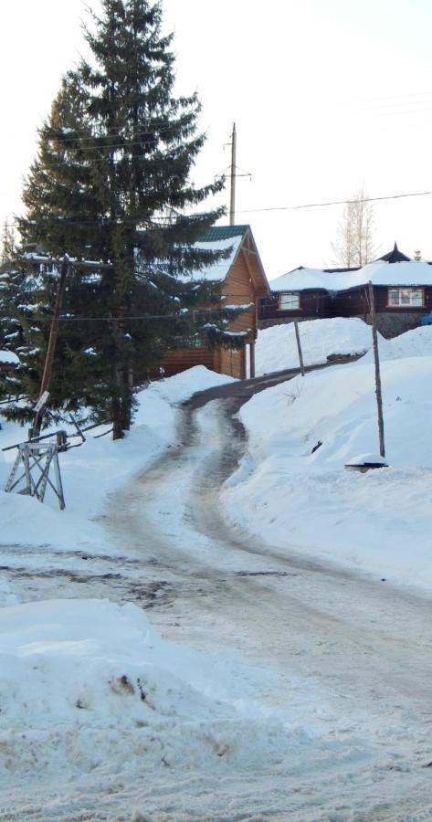 "Лісова Ягода" Yablunytsya Exterior photo
